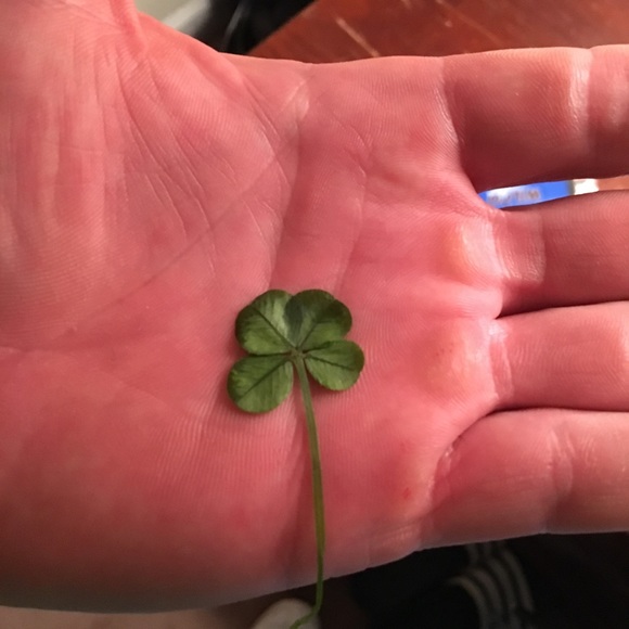 Meet your Posher, Zach - Picture 1 of 1